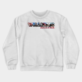 Williams Arizona Big Letter Crewneck Sweatshirt